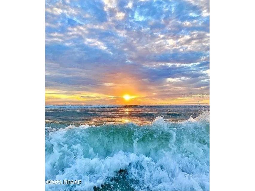 11 Sunrise Avenue Ormond Beach FL 32176 FC313968 image43