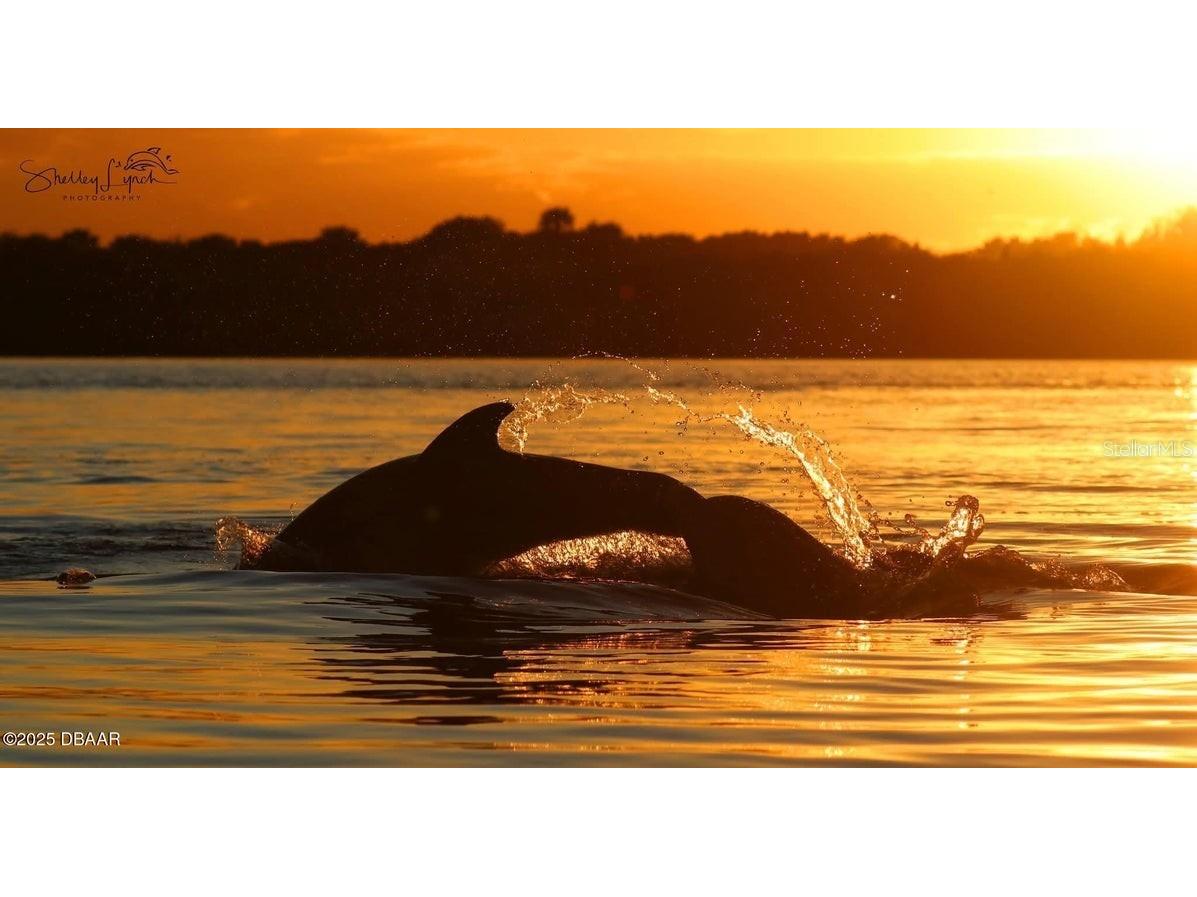 11 Sunrise Avenue Ormond Beach FL 32176 FC313968 image44