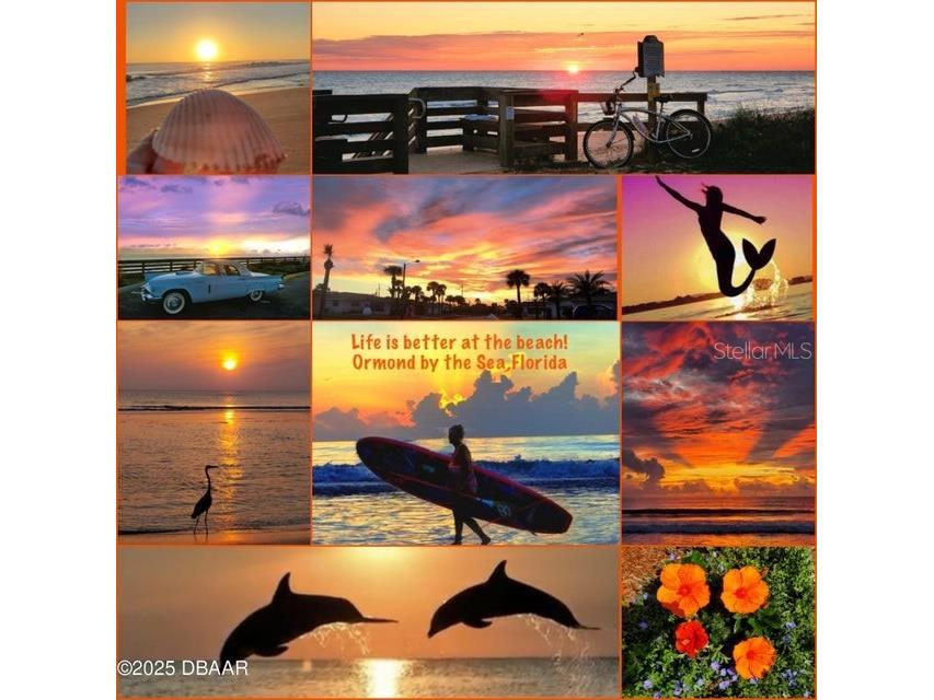 11 Sunrise Avenue Ormond Beach FL 32176 FC313968 image53