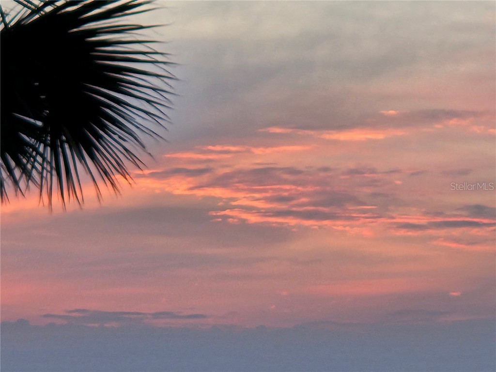 11 Sunset Drive #303 Sarasota FL 34236 A4642099 image63