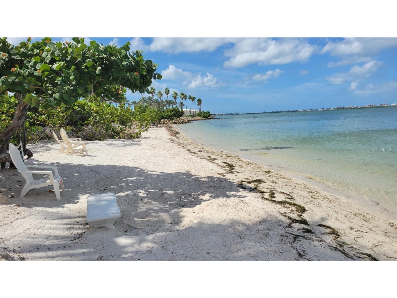 11 Sunset Drive #304 Sarasota FL 34236 - SARASOTA BAY A4667216 image37