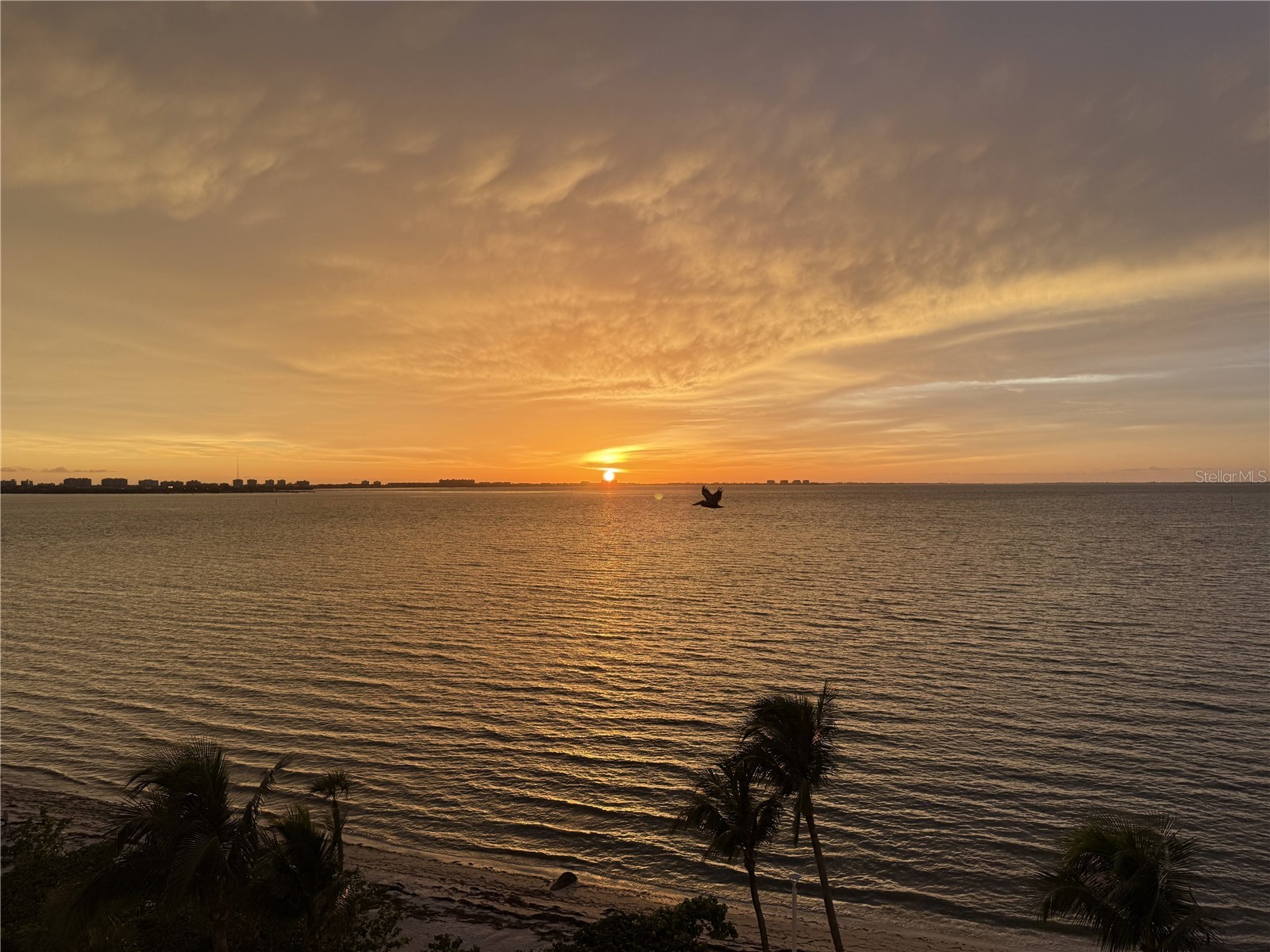 11 Sunset Drive #502 Sarasota FL 34236 - SARASOTA BAY A4680726 image4