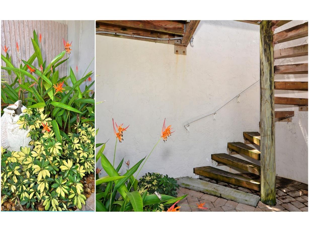 11 Sunset Drive #505 Sarasota FL 34236 A4660398 image63