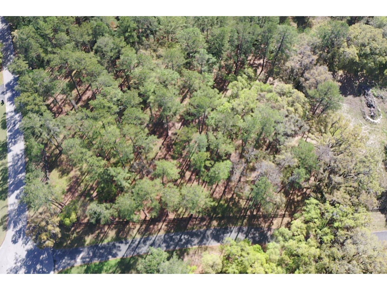 11 SW 144th Court Ocala FL 34481 OM720280 image9