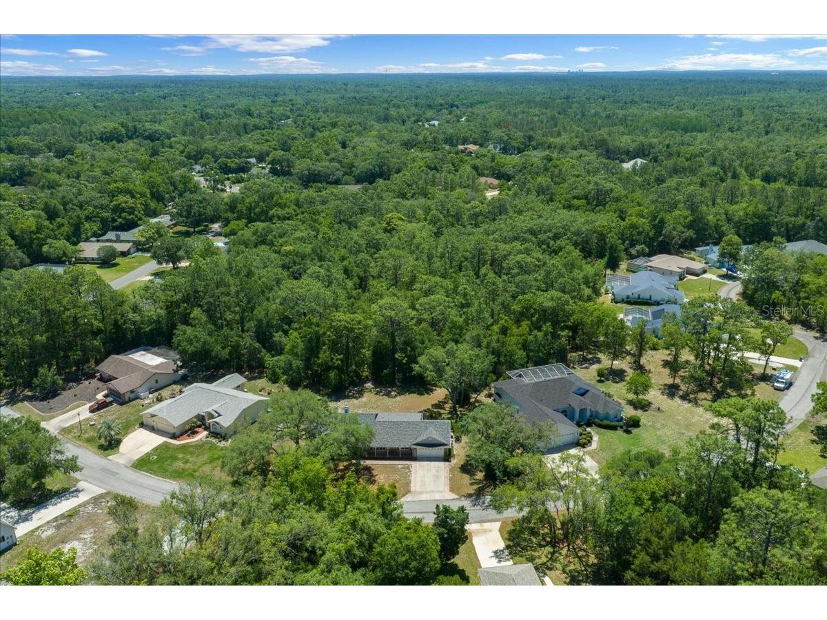 11 Sycamore Court W Homosassa FL 34446 OM724331 image47
