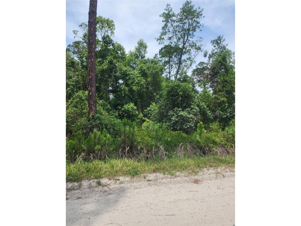 11 Th Deland FL 32724 V4942870 image2