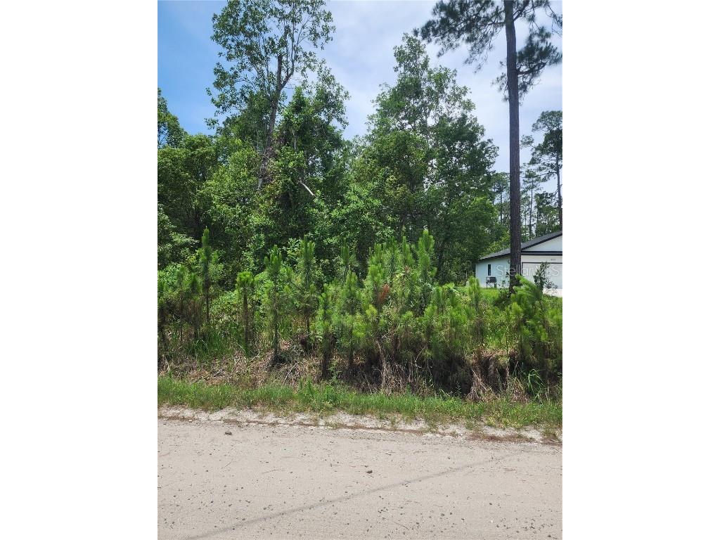 11 Th Deland FL 32724 V4942870 image6
