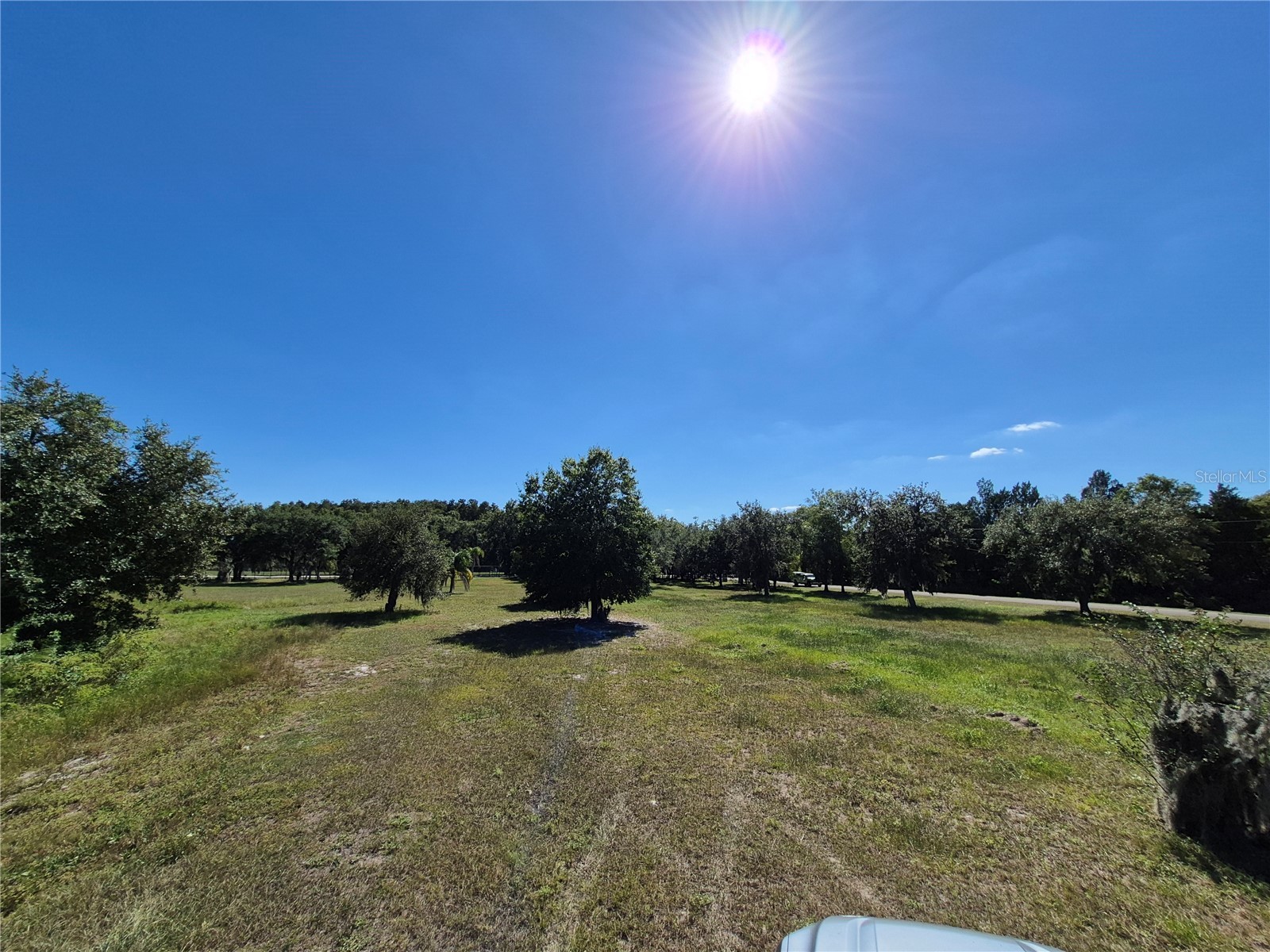 11 Trumpeter Court Odessa FL 33556 - LAKE ABRAY TB8434999 image3