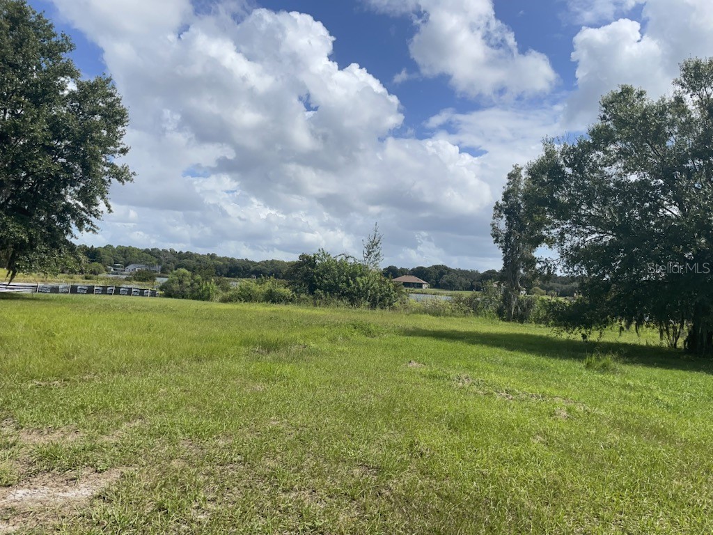 11 Trumpeter Court Odessa FL 33556 - LAKE ABRAY TB8434999 image6