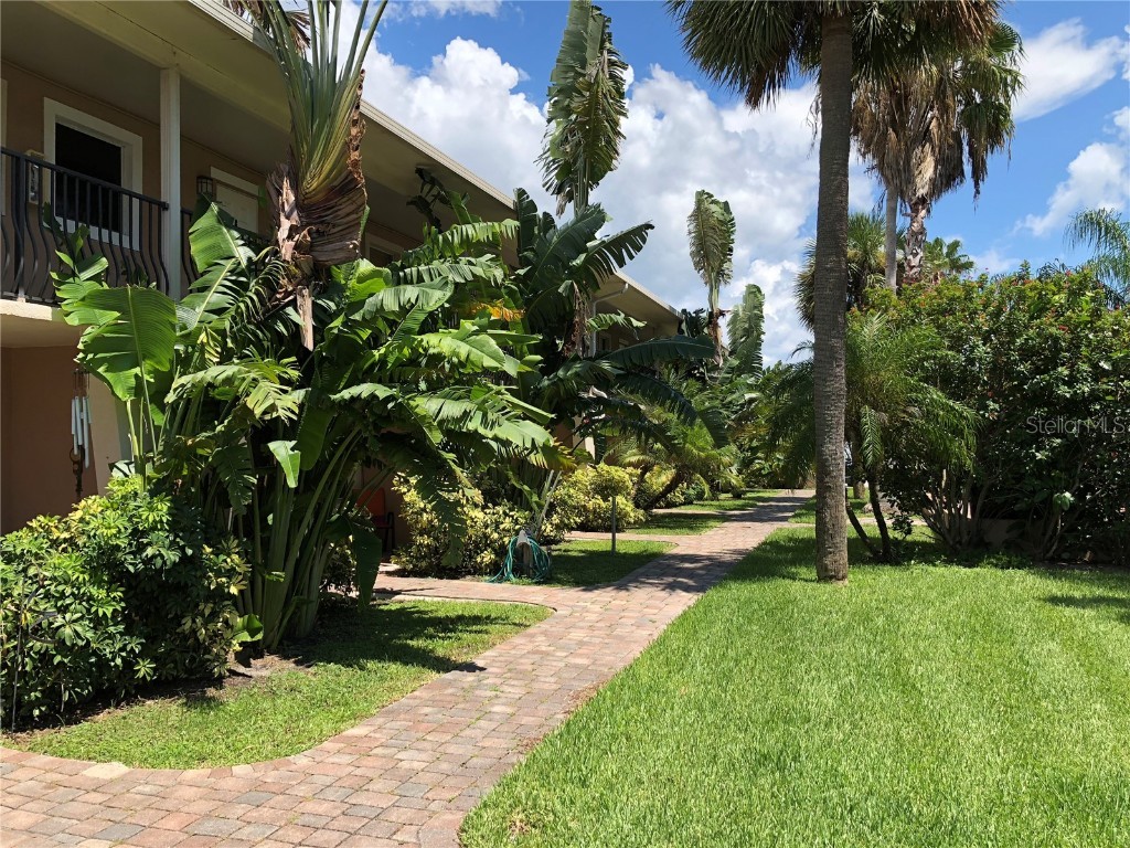 110 148th Avenue E #11 Madeira Beach FL 33708 - GULF OF MEXICO T3483961 image1