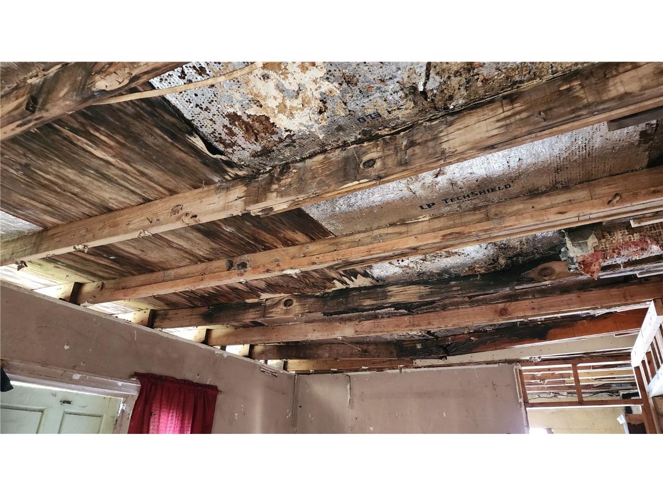 110 14th Street SE Ruskin FL 33570 TB8415107 image60