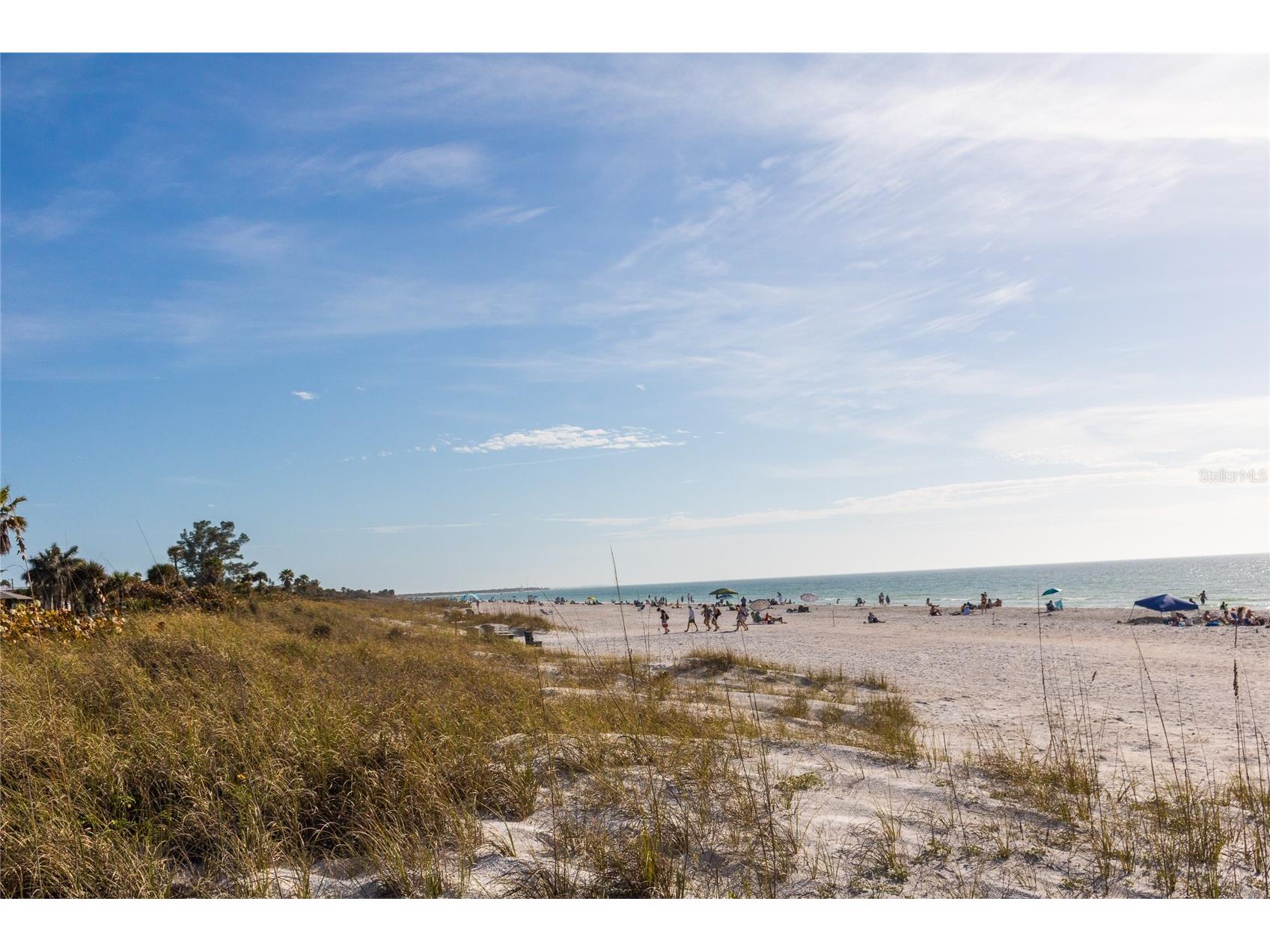 110 4th Avenue Saint Pete Beach FL 33706 TB8520508 image15