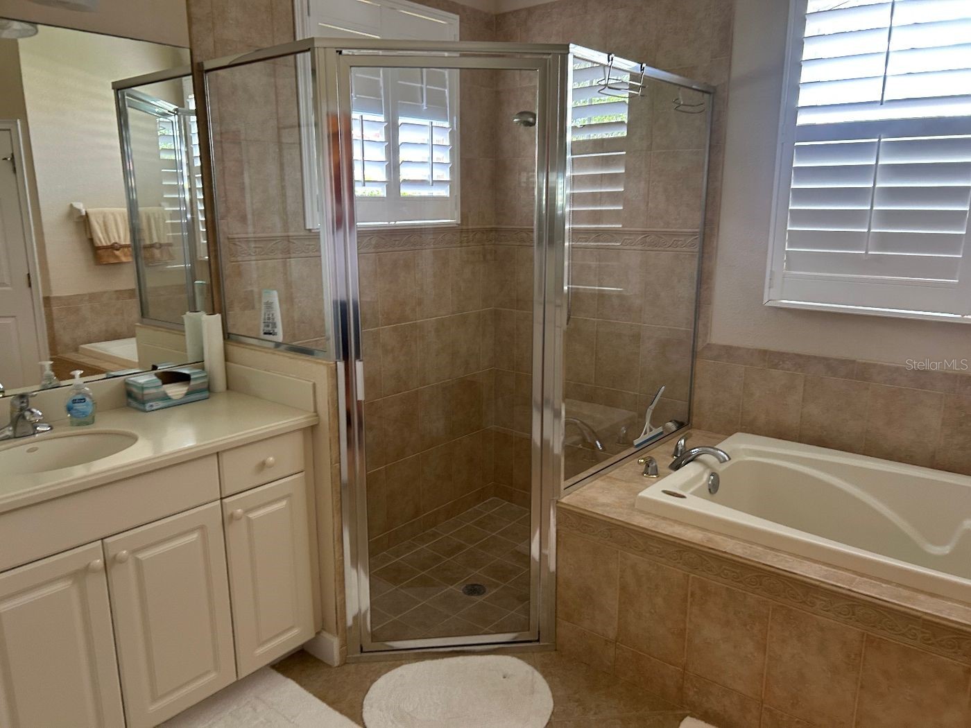 110 Caneletto Way North Venice FL 34275 A4688217 image42