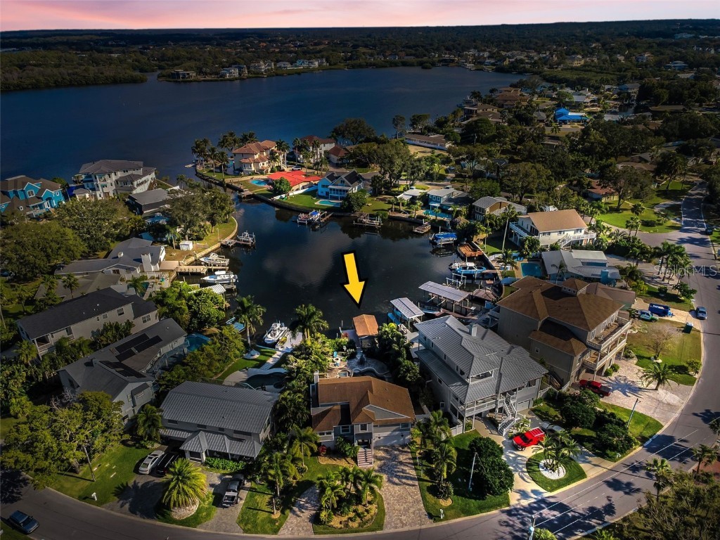 110 Carlyle Circle Palm Harbor FL 34683 TB8452867 image2