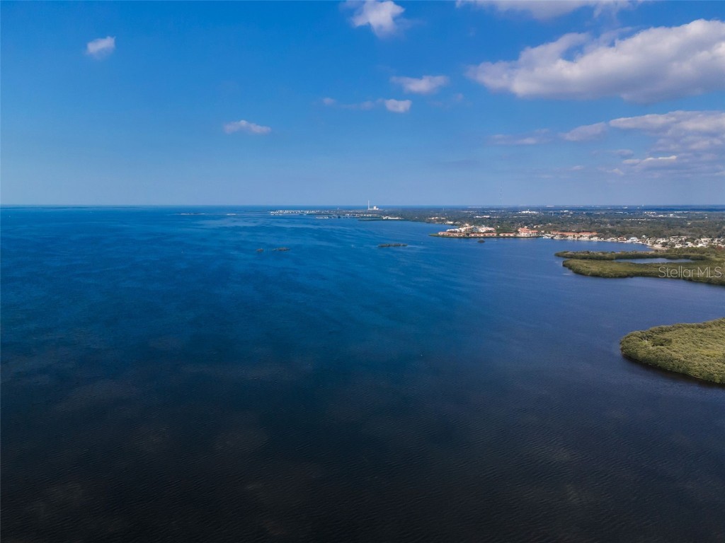110 Carlyle Circle Palm Harbor FL 34683 TB8452867 image69