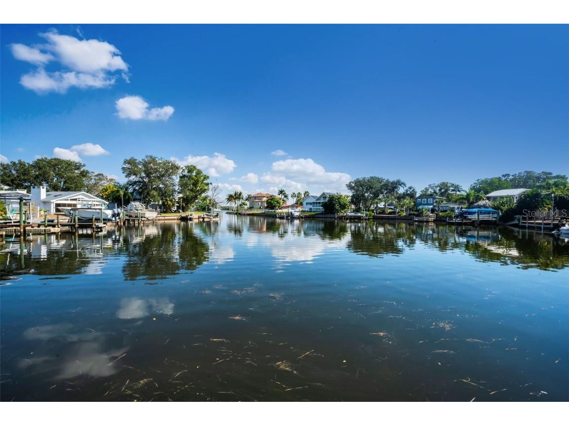 110 Carlyle Circle Palm Harbor FL 34683 TB8452867 image73