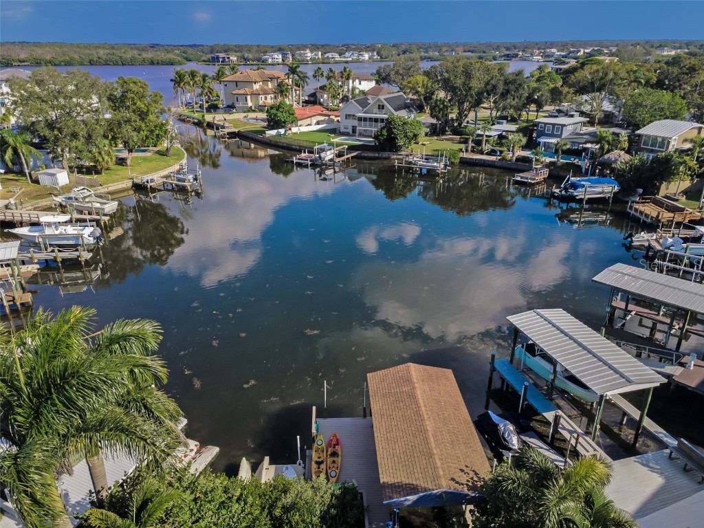 110 Carlyle Circle Palm Harbor FL 34683 TB8452867 image74