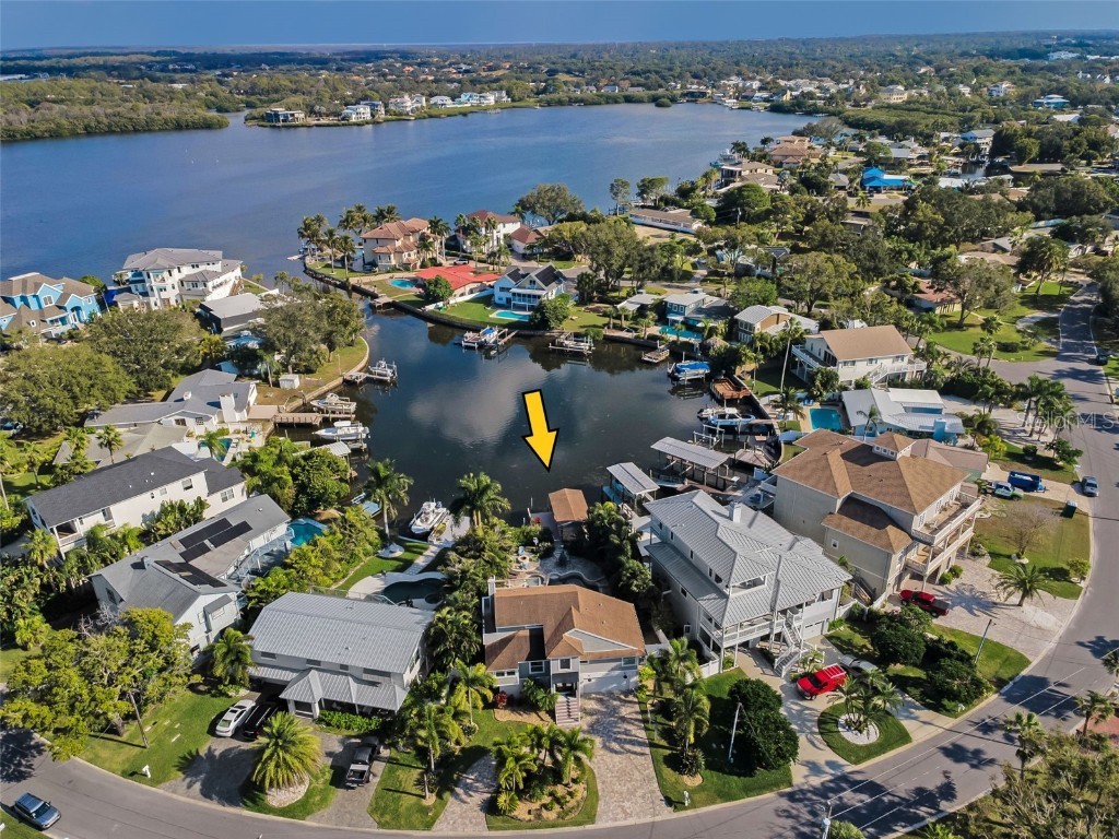 110 Carlyle Circle Palm Harbor FL 34683 TB8452867 image82