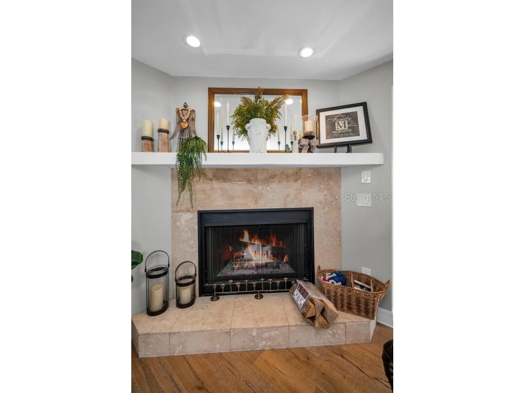 110 Carlyle Circle Palm Harbor FL 34683 TB8453747 image12