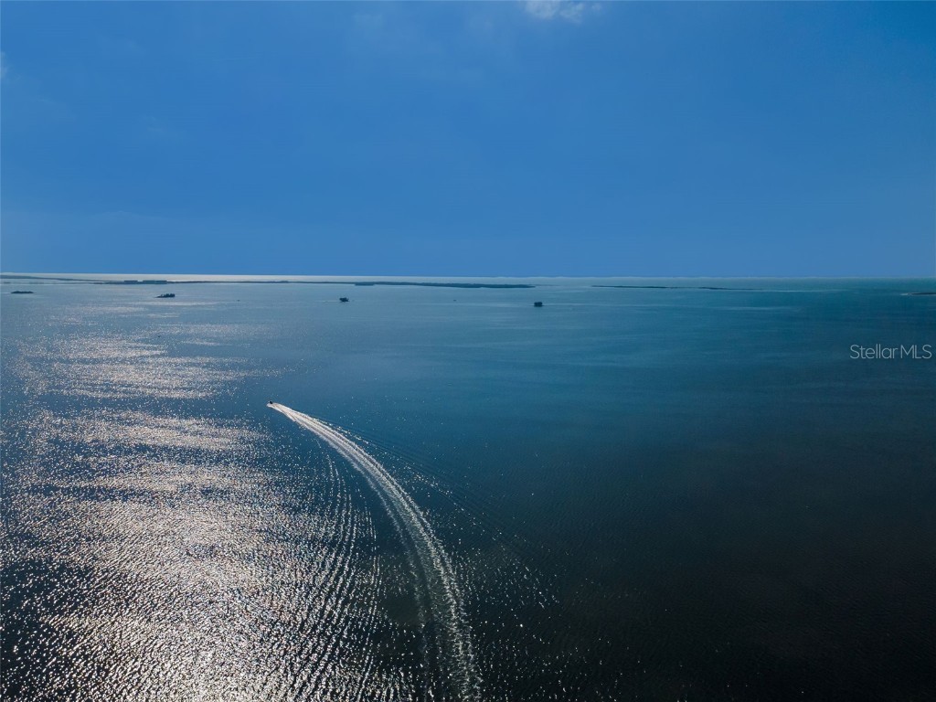 110 Carlyle Circle Palm Harbor FL 34683 TB8453747 image61