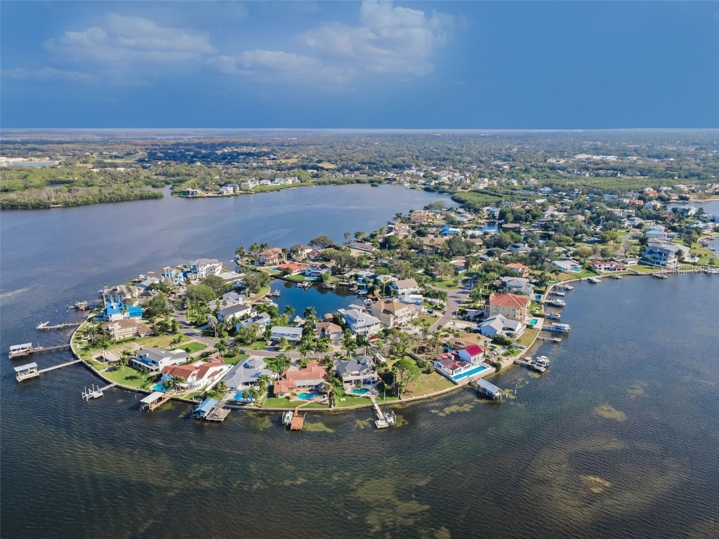 110 Carlyle Circle Palm Harbor FL 34683 TB8453747 image79