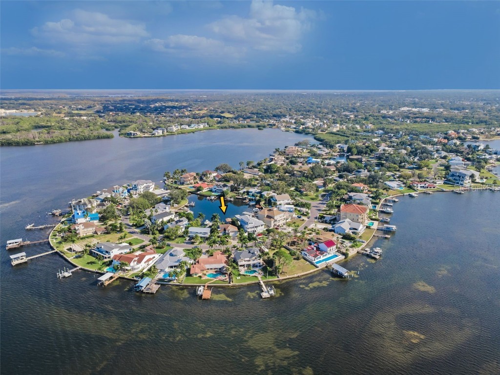 110 Carlyle Circle Palm Harbor FL 34683 TB8453747 image83