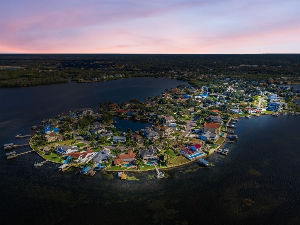 110 Carlyle Circle Palm Harbor FL 34683 TB8453747 image84