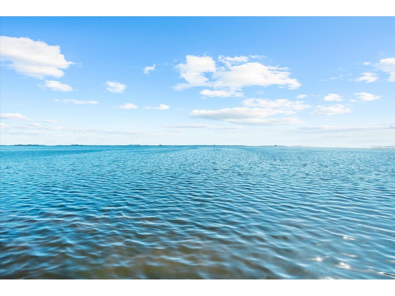 110 Carlyle Drive Palm Harbor FL 34683 - GULF OF MEXICO TB8390531 image87