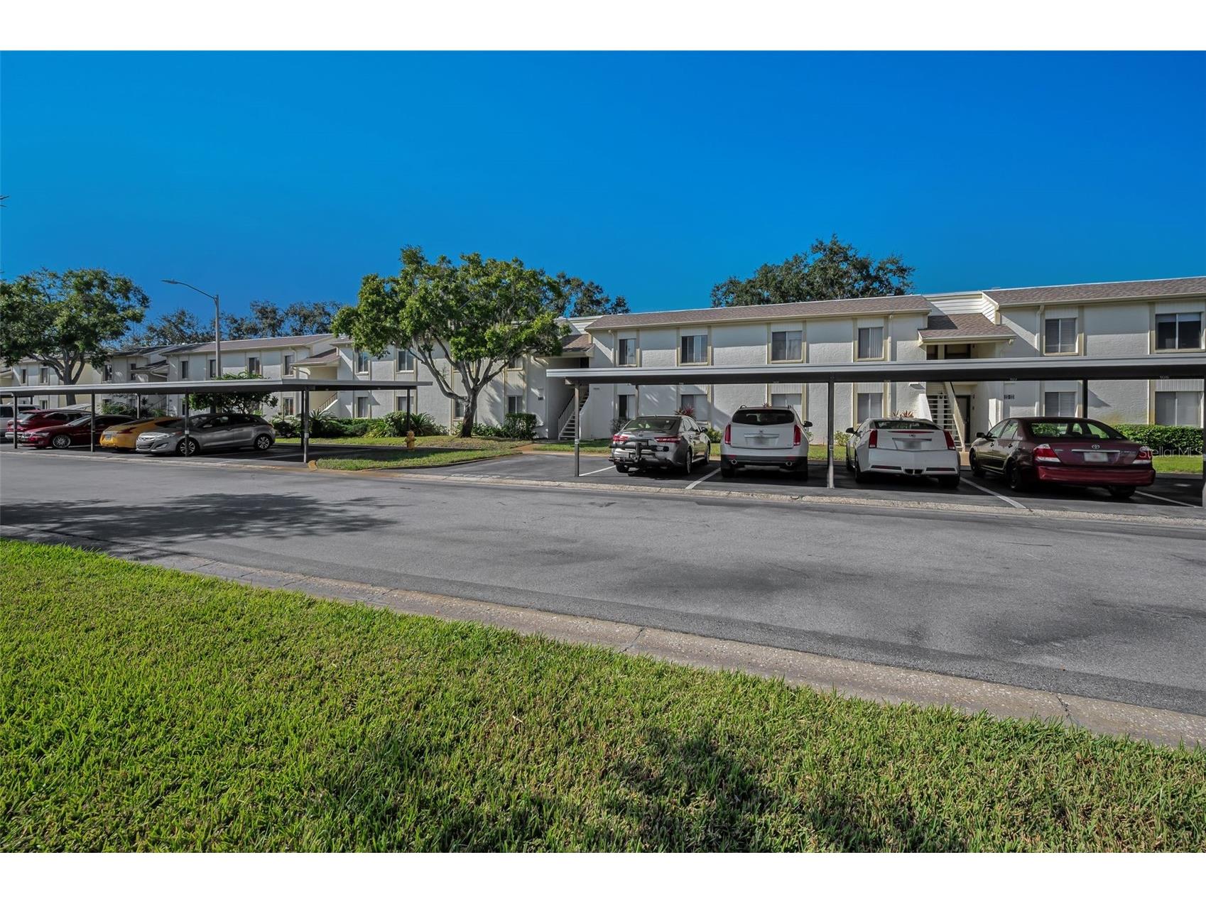 110 Cypress Ct #3-82 Oldsmar FL 34677 TB8519637 image2