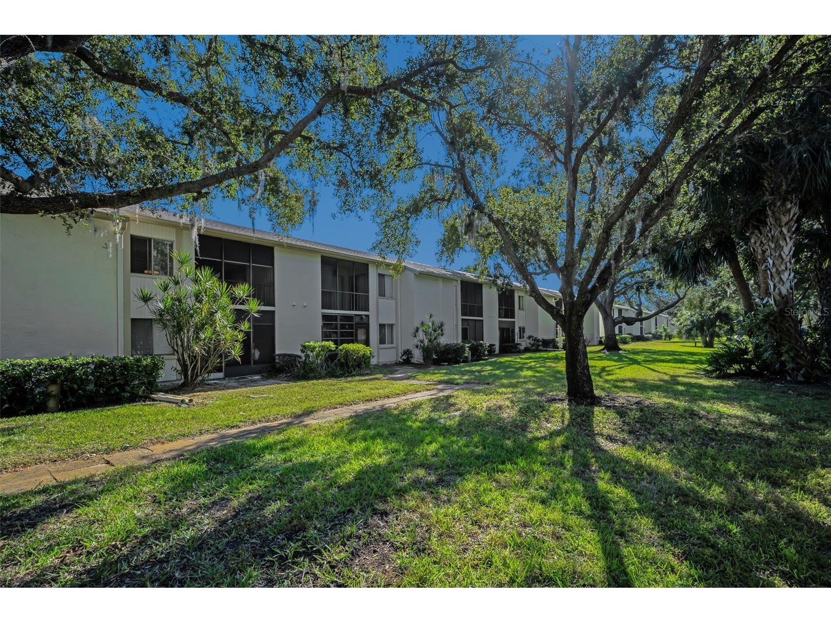 110 Cypress Ct #3-82 Oldsmar FL 34677 TB8519637 image28