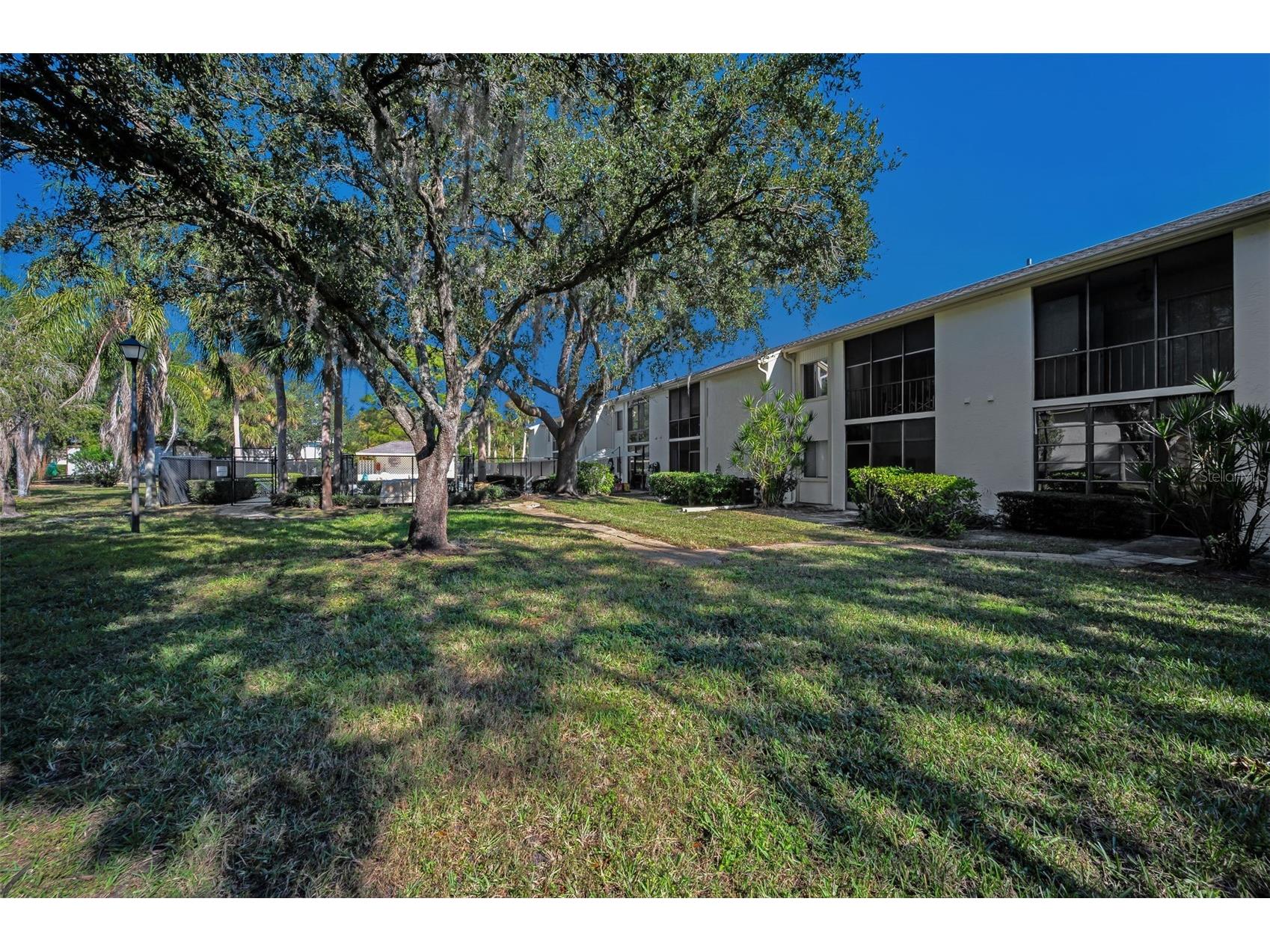 110 Cypress Ct #3-82 Oldsmar FL 34677 TB8519637 image29