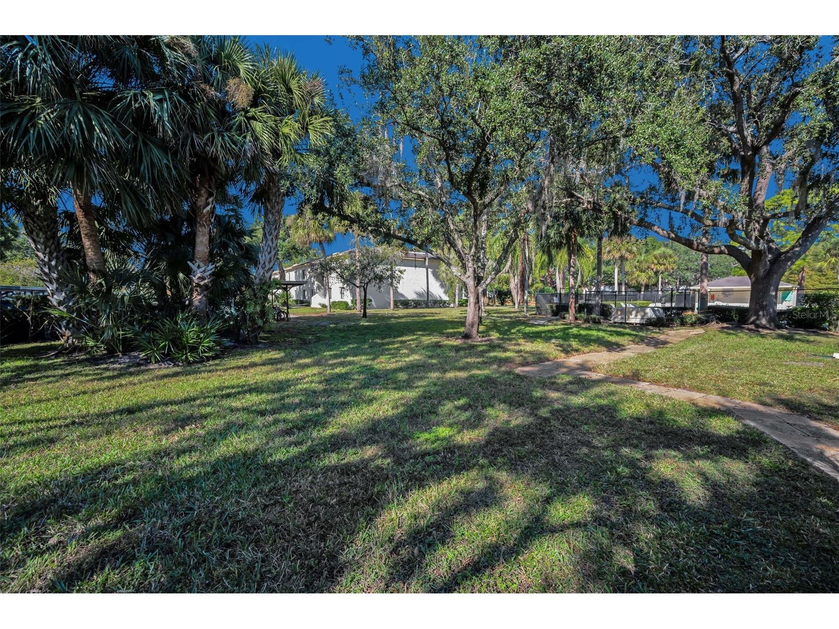 110 Cypress Ct #3-82 Oldsmar FL 34677 TB8519637 image30