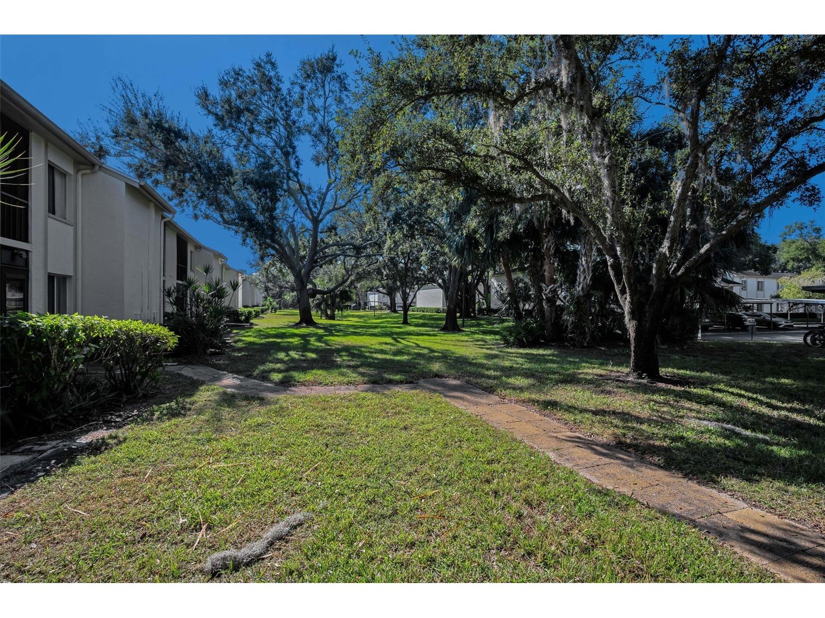 110 Cypress Ct #3-82 Oldsmar FL 34677 TB8519637 image31