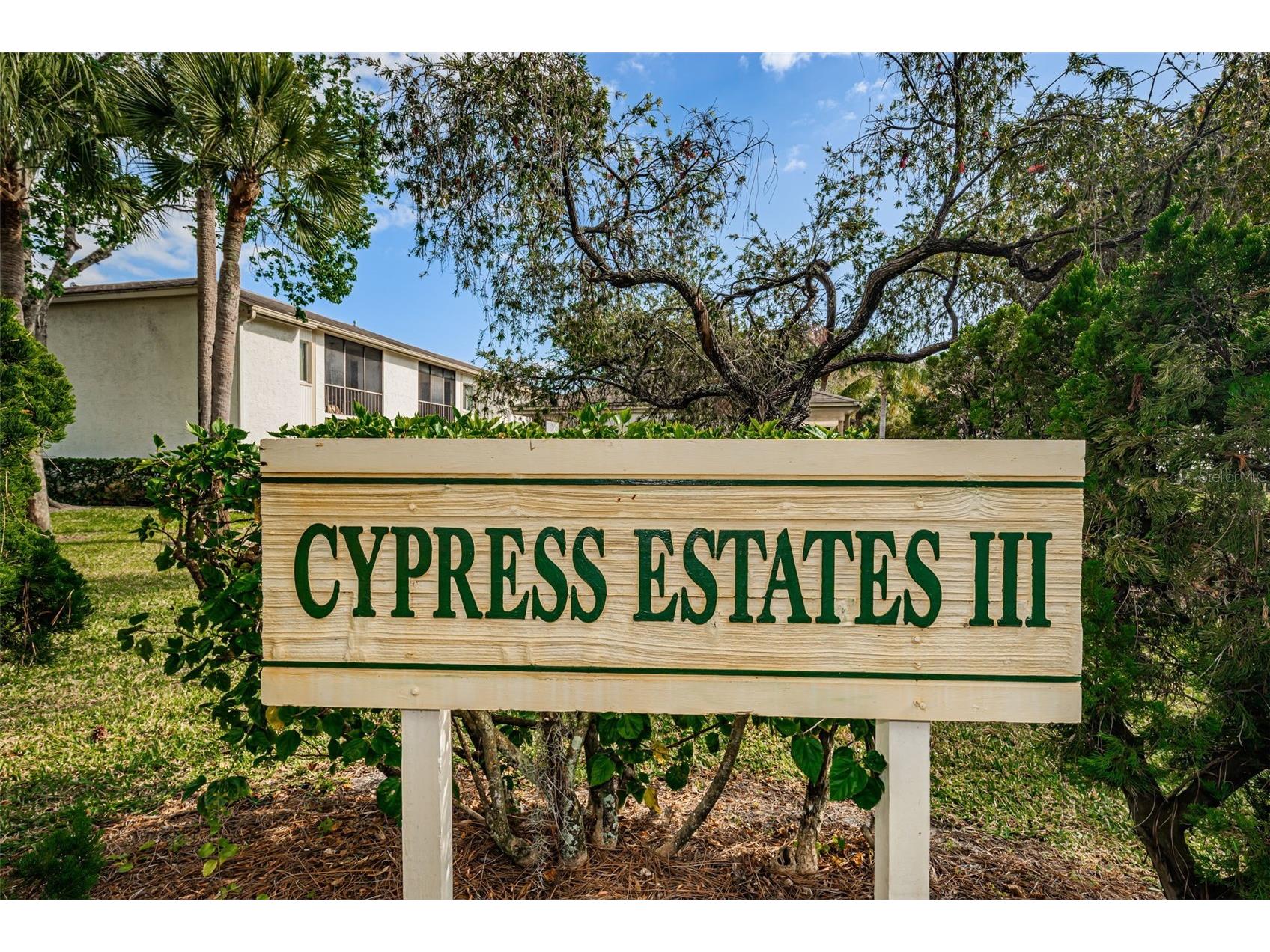 110 Cypress Ct #3-82 Oldsmar FL 34677 TB8519637 image32