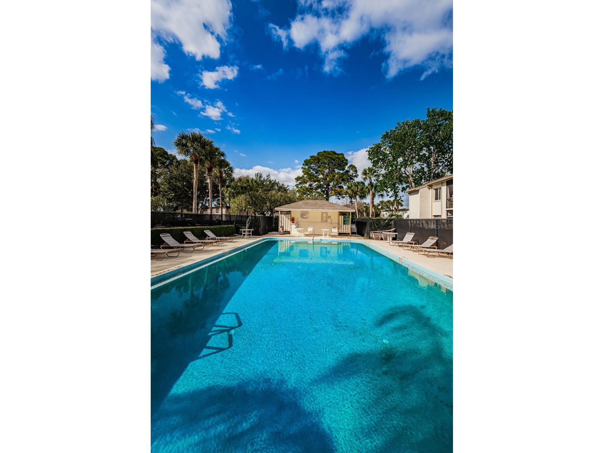 110 Cypress Ct #3-82 Oldsmar FL 34677 TB8519637 image33