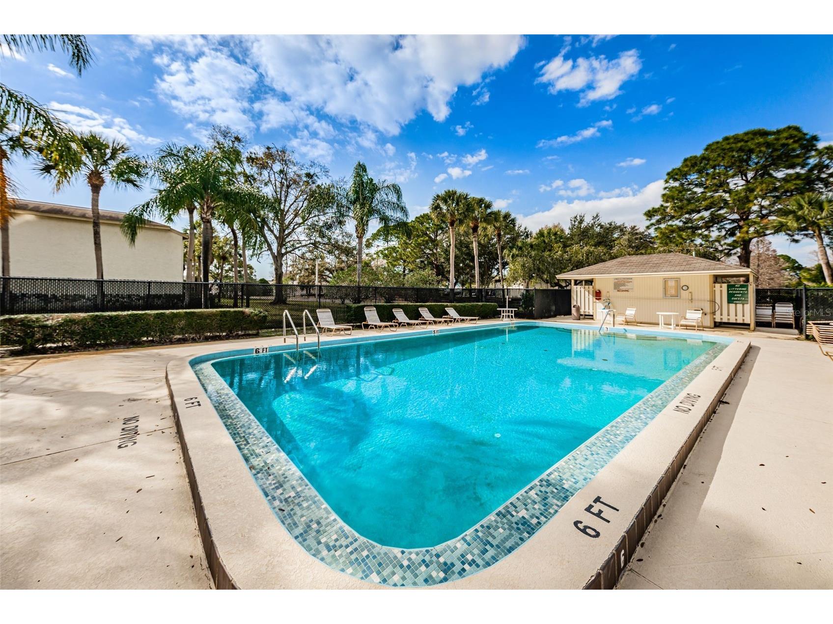 110 Cypress Ct #3-82 Oldsmar FL 34677 TB8519637 image34