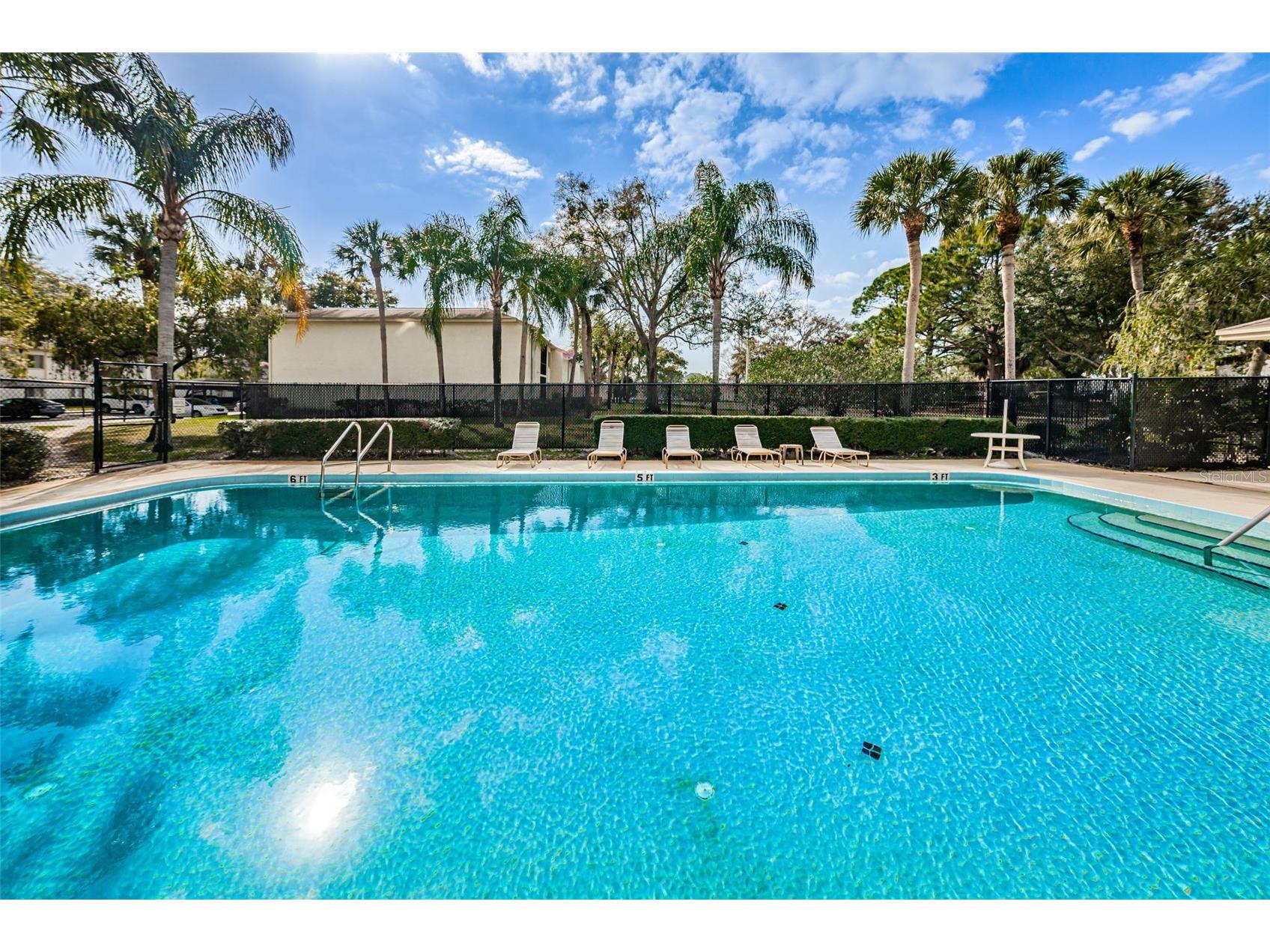 110 Cypress Ct #3-82 Oldsmar FL 34677 TB8519637 image35