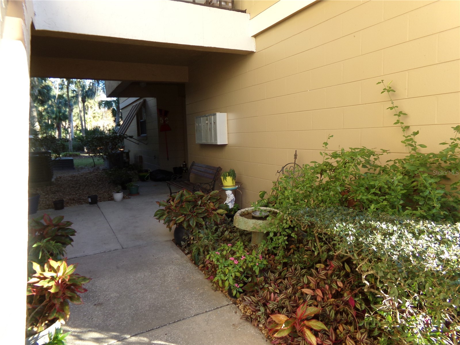 110 Cypress Woods Ct #5C Deltona FL 32725 O6400056 image2