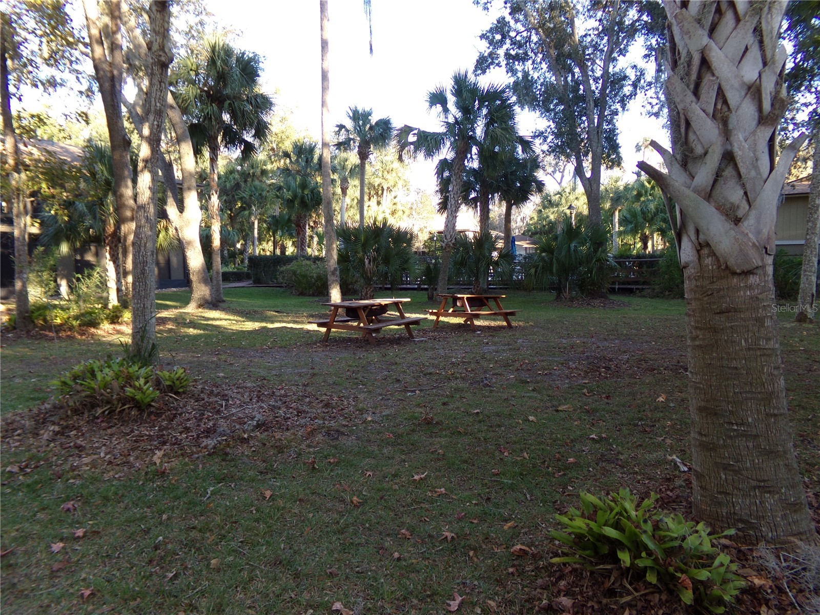 110 Cypress Woods Ct #5C Deltona FL 32725 O6400056 image5