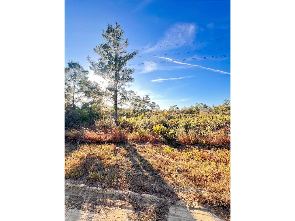 110 Dartmoor Avenue Lake Placid FL 33852 O6370930 image1