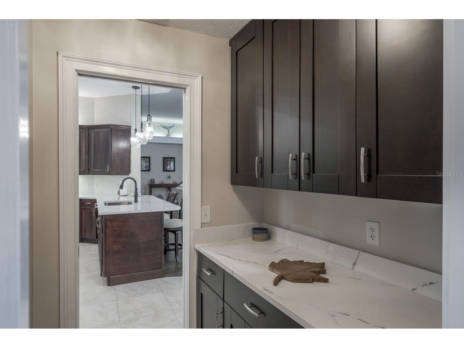 110 Deerpath Drive Oldsmar FL 34677 TB8462357 image22