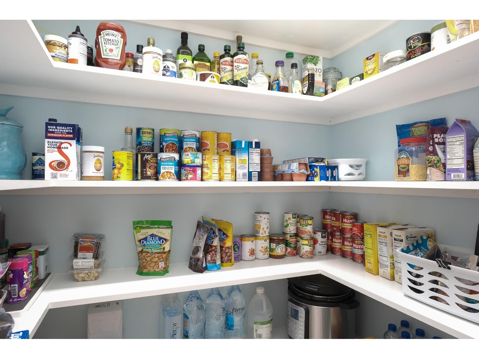 110 Deerpath Drive Oldsmar FL 34677 TB8462357 image29