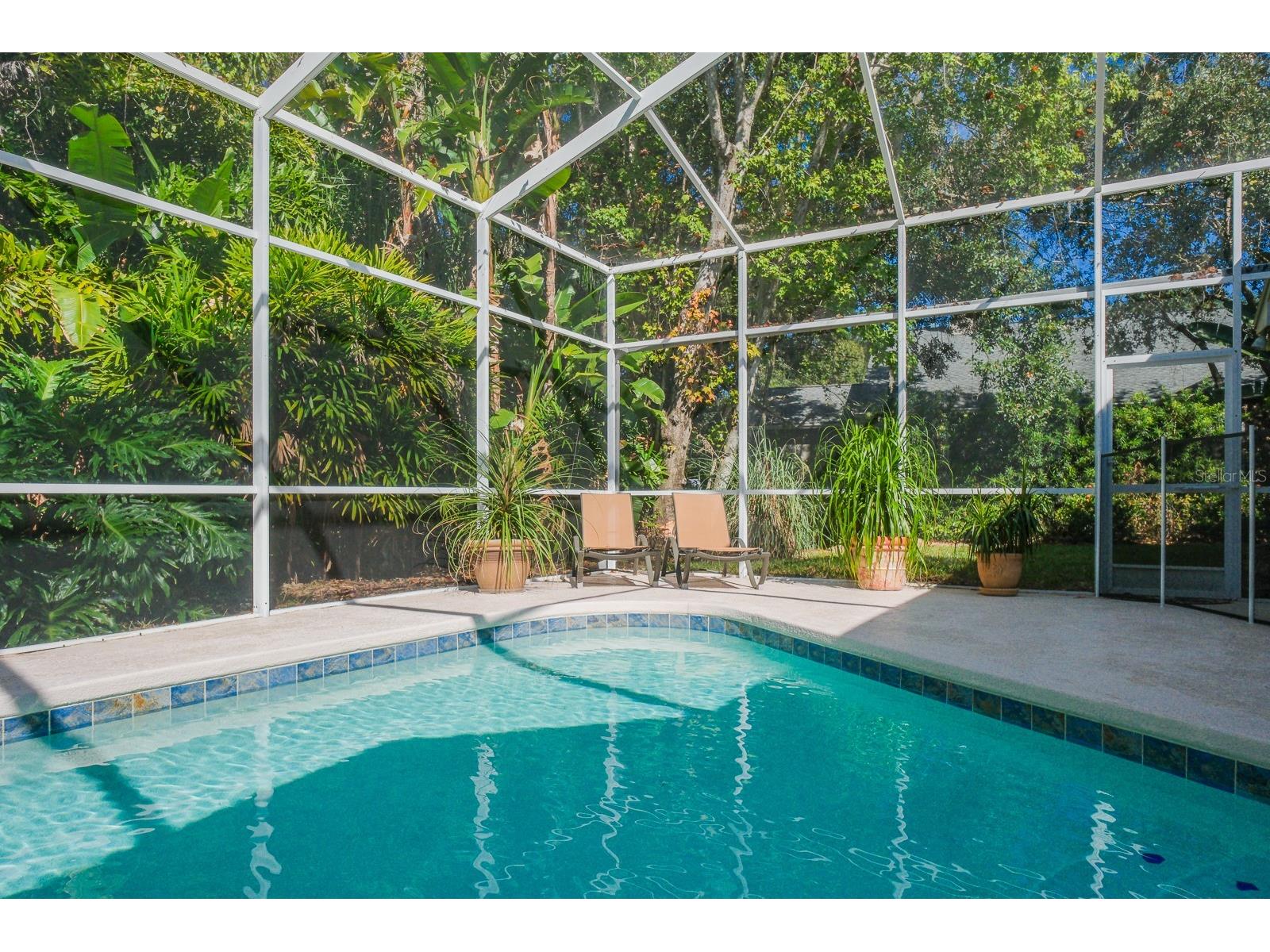 110 Deerpath Drive Oldsmar FL 34677 TB8462357 image67