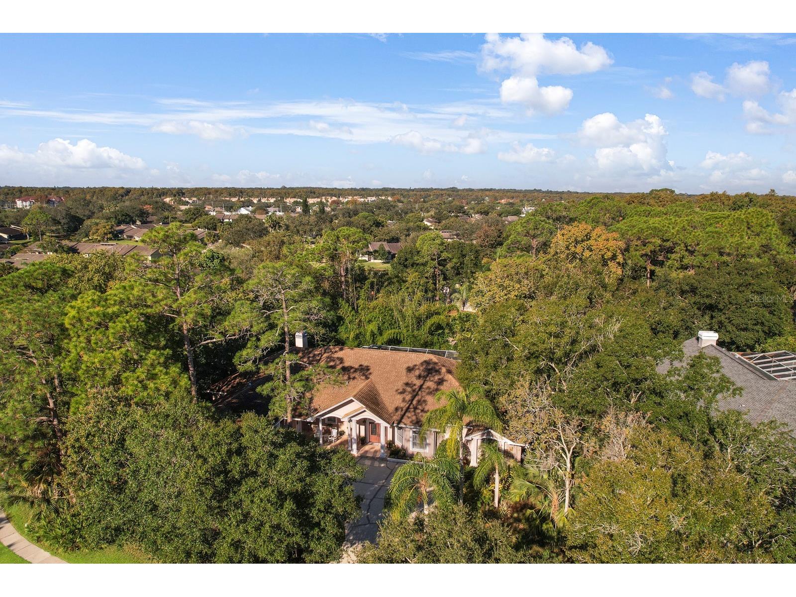 110 Deerpath Drive Oldsmar FL 34677 TB8462357 image76