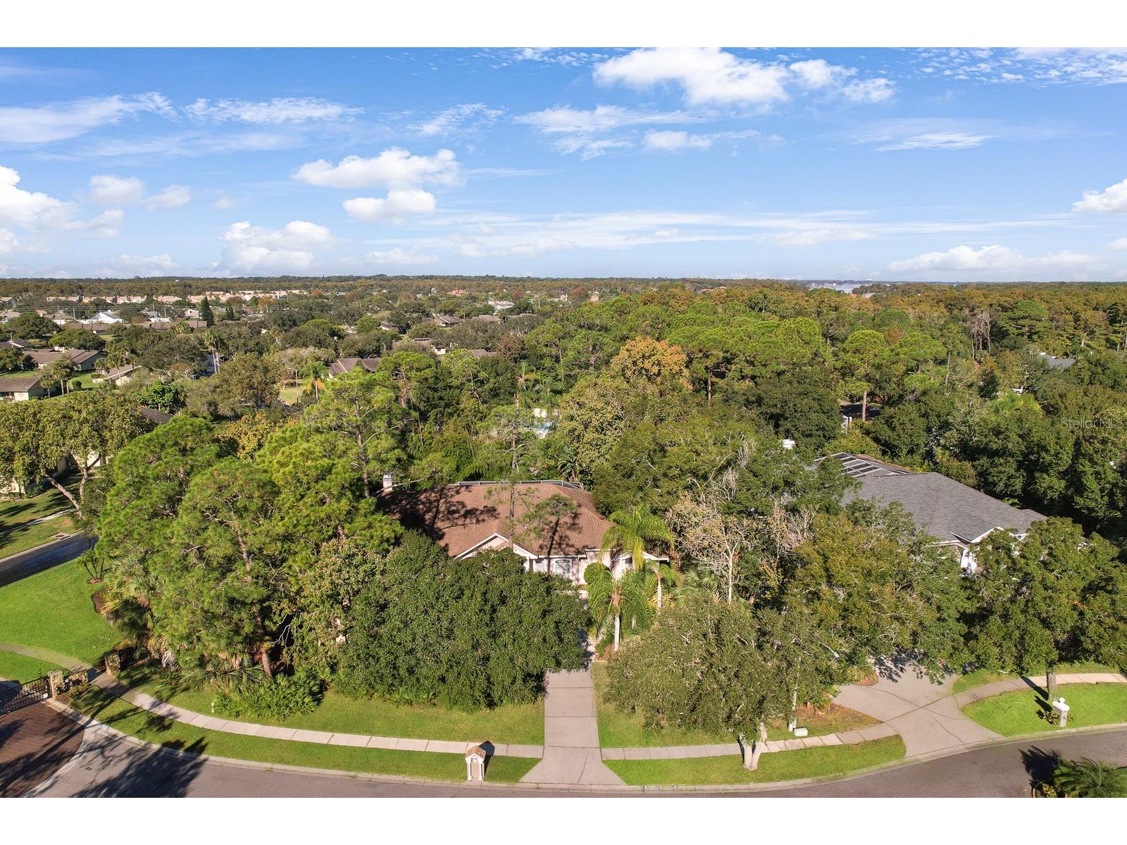 110 Deerpath Drive Oldsmar FL 34677 TB8462357 image77