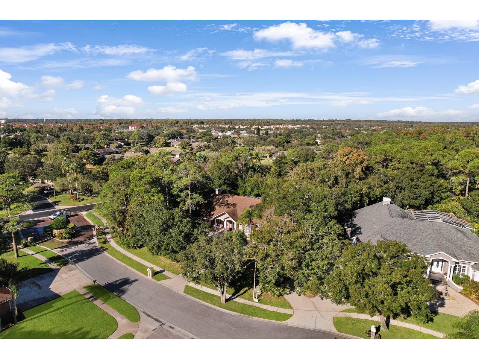 110 Deerpath Drive Oldsmar FL 34677 TB8462357 image78