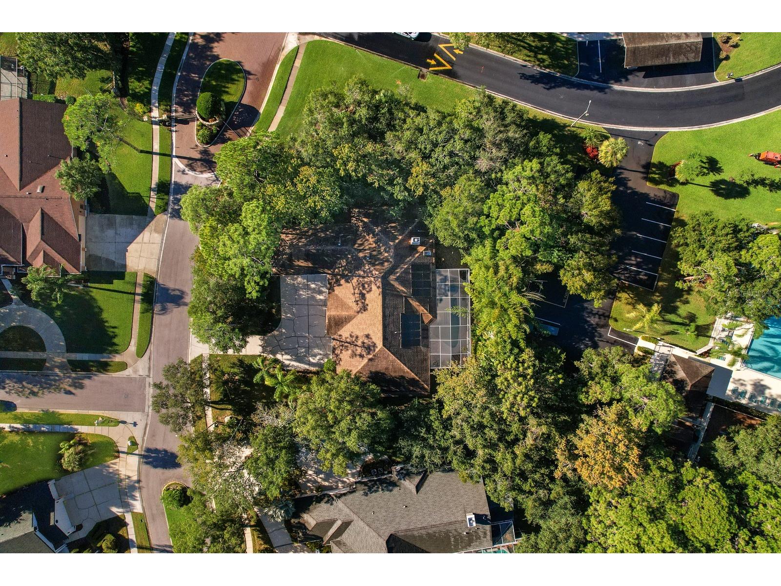 110 Deerpath Drive Oldsmar FL 34677 TB8462357 image79