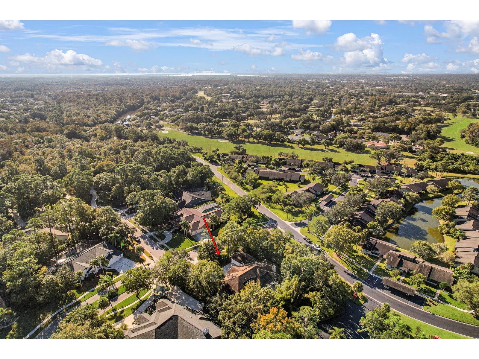 110 Deerpath Drive Oldsmar FL 34677 TB8462357 image80