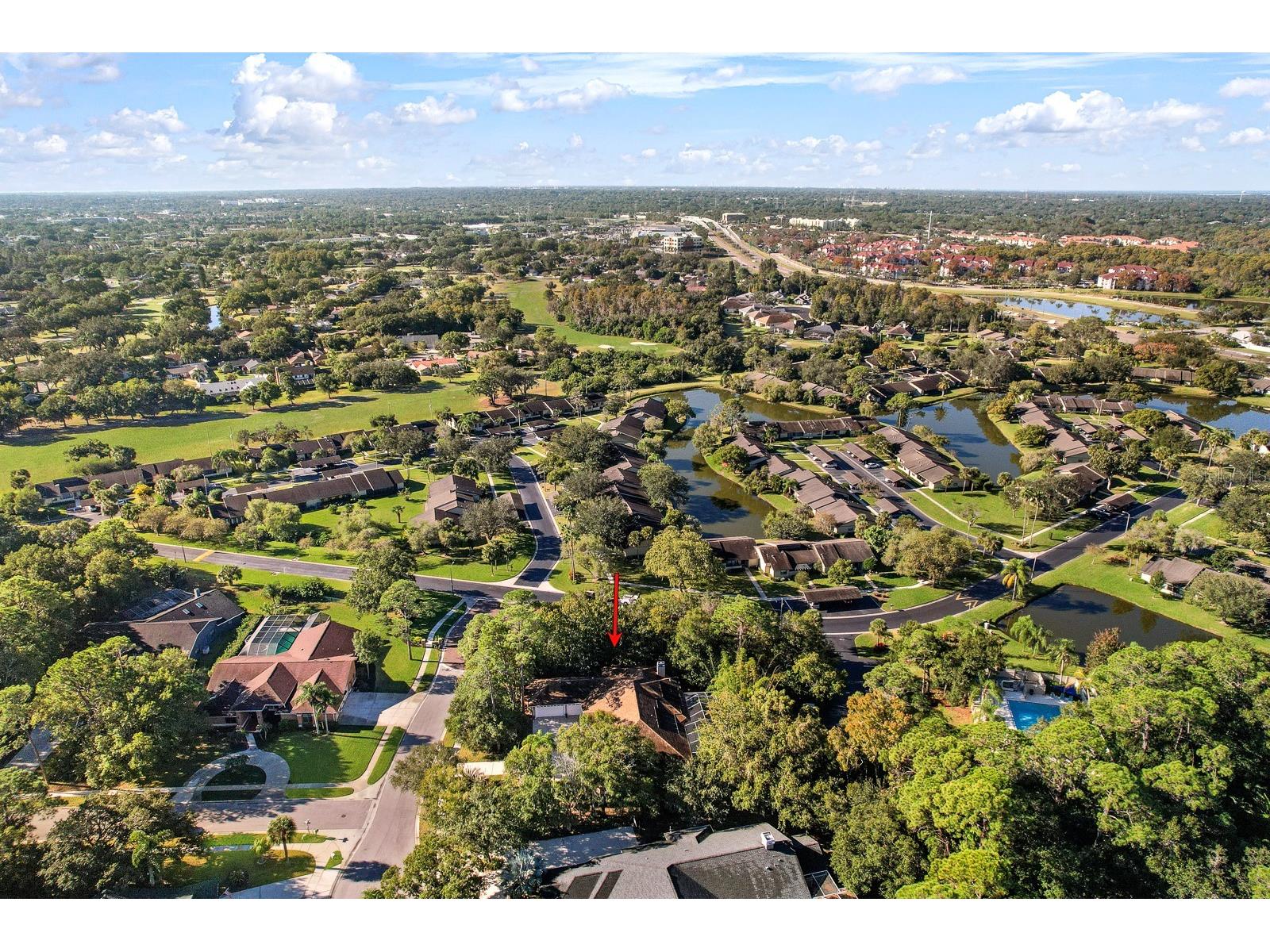 110 Deerpath Drive Oldsmar FL 34677 TB8462357 image81