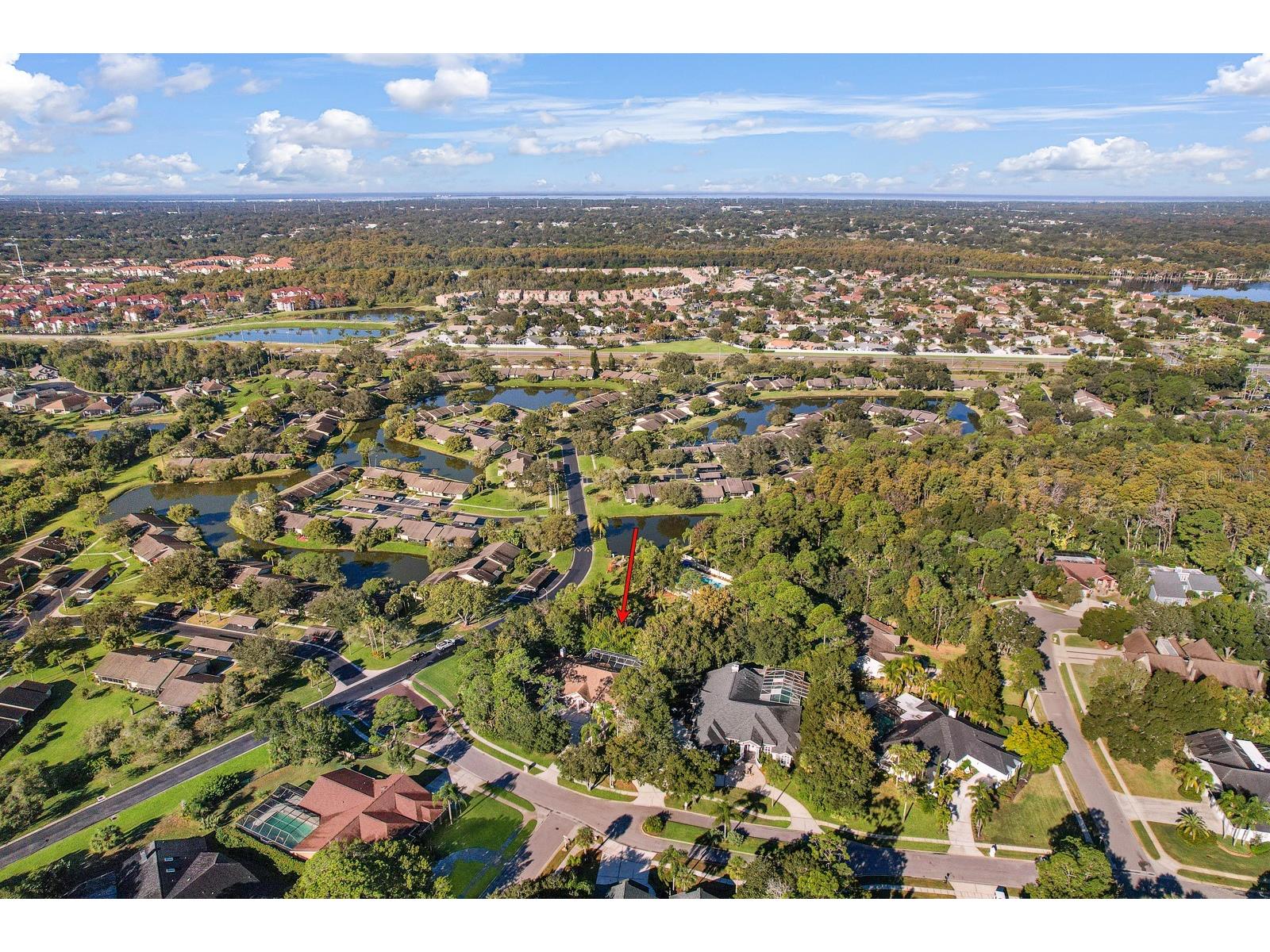 110 Deerpath Drive Oldsmar FL 34677 TB8462357 image82